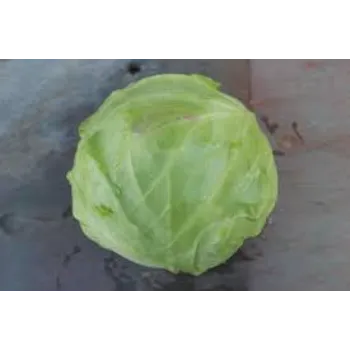Natural Cabbage